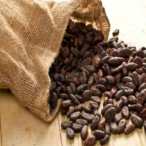 Jute coffee and cocoa beans bags - Image 2