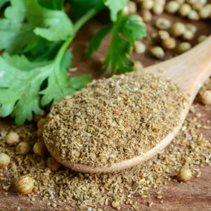 Coriander Powder and Seeds - Image 5