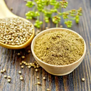 Coriander Powder and Seeds by A G Infosolve Pvt Ltd