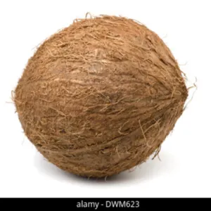 Husk Coconut by HB Traders