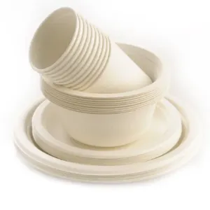 Eco Friendly Sugarcane and Plant based disposable paper cups and paper plates and paper containers by Al Safwa International