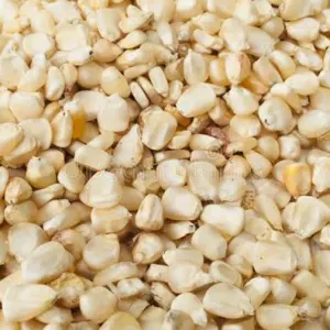 Non GMO White Maize by Teodoro limited
