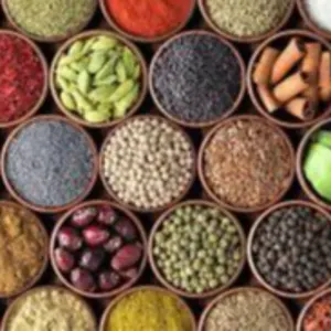 Spices by MANOJ EXPORTS