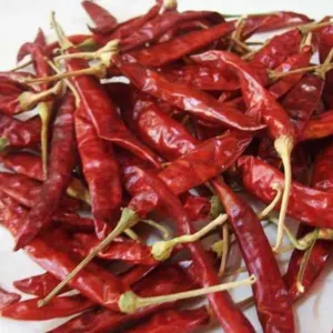 Red Dry Chillies by MANOJ EXPORTS