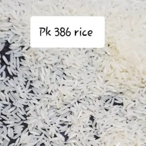 PK 386 WHITE /SELLA RICE