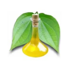 Essential Betel Leaf Oil