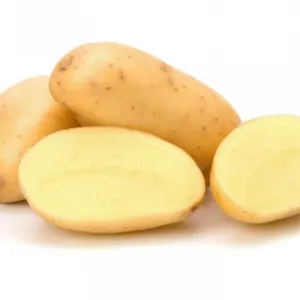 Fresh Potato (Sante, Mozika and Extress) - Image 3