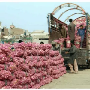 Fresh Onion