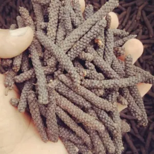 Long Pepper - Image 2