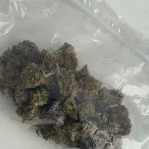 Sativa - Image 2
