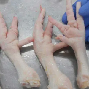 Chicken Feet and Paw for sale by kjb international co., ltd
