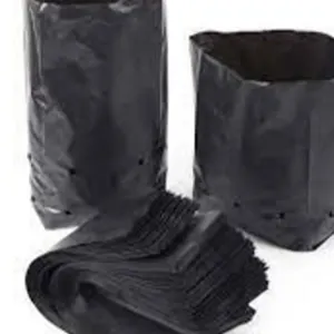 Nursery Bags/Grow bags/plant bags - Image 3
