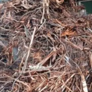 Copper scrap milberry / copper scrap berry/ copper scrap candy/copper scrap birch - Image 4