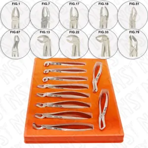 TOOTH EXTRACTION FORCEPS ADULT SET OF 10 PCS EUROPEAN PATTERN by New Surgical Instruments Co.