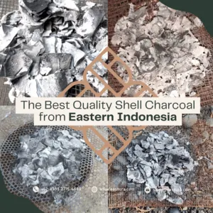 Indonesian Coconut Shell Charcoal By EASTURA by EASTURA Indonesia (PT. Triniti Sinergi Pacific)