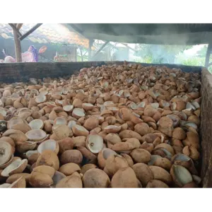 Indonesia Copra (Edible, Regular, & Bulk) By EASTURA Indonesia by EASTURA Indonesia (PT. Triniti Sinergi Pacific)