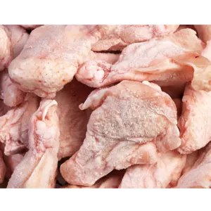 Frozen chicken by S R IMPEX
