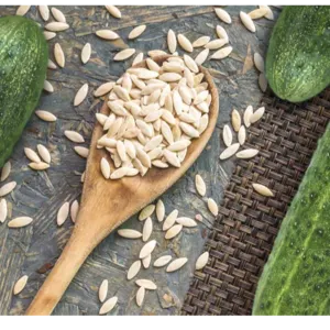 CUCUMBER SEEDS