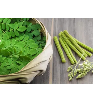 MORINGA by Agronet, LLC