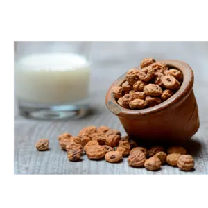 Tigernut - Image 2
