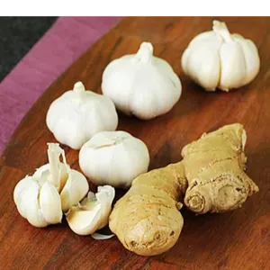 GINGER AND GARLIC - Image 2