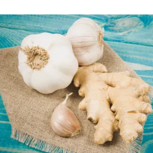 GINGER AND GARLIC - Image 2