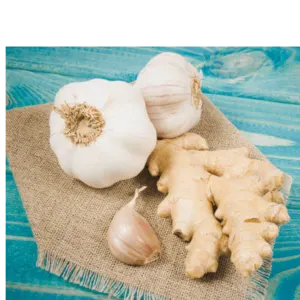 GINGER AND GARLIC by Stock Vegi Exports