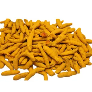TURMERIC FINGER - Image 2
