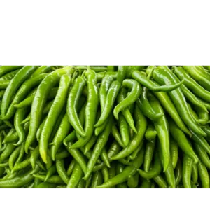 Green chilly