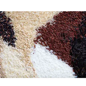 ALL TYPES OF RICE by CREATOMAC