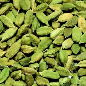 cardamom - Image 2
