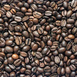 robusta coffee by AFRIWIDE