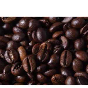 robusta coffee - Image 2