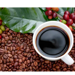 robusta coffee - Image 3