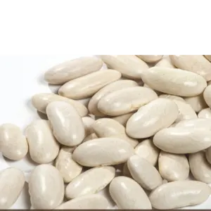 White Kidney Bean