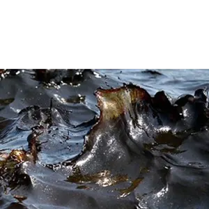 Residue Fuel by pt universal palm products