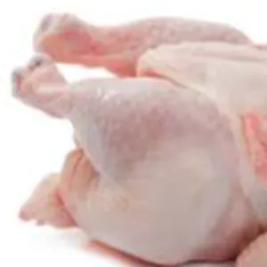 Frozen Chicken Shawarma (Boneless whole Chicken) by Global Frozen Chicken