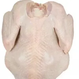 Frozen Chicken Shawarma (Boneless whole Chicken) - Image 2