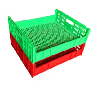 Plastic Bread Crates & Trays by MP Plastic Industries (Pvt) Ltd