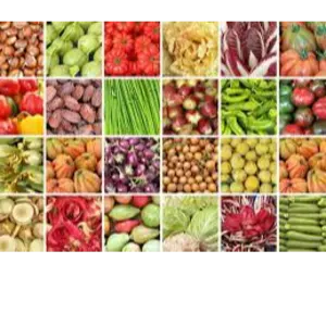 Agricultural Products by DBE inc