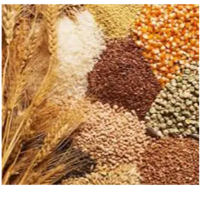Agricultural Products - Image 2
