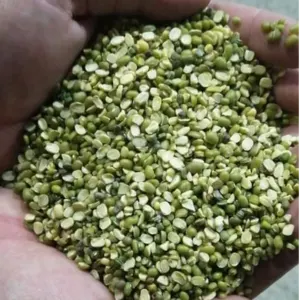 Lentils - Image 3