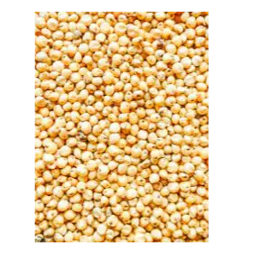 Sorghum by SABIA OVERSEAS LLP