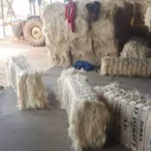Ug Sisal Fiber - Image 3
