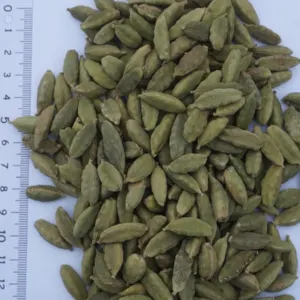 Organic / Conventional Cardamom Jumbo Bold Green