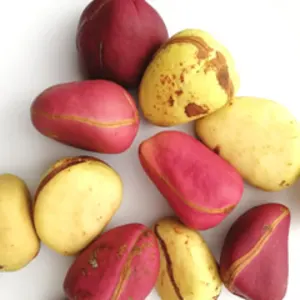 KOLA NUT by DABETH INDUSTRIES