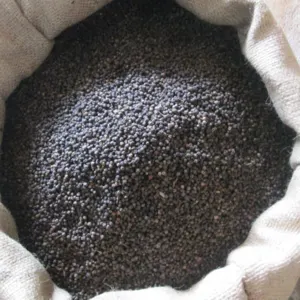 Kenyan Black pepper - Image 2