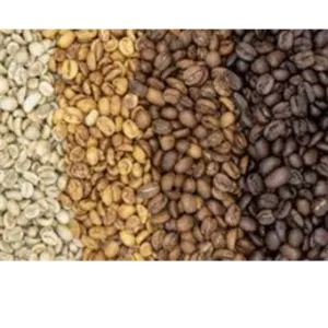 Roasted coffee beans by Afrorganic LTD