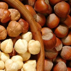 Hazelnut - Image 3