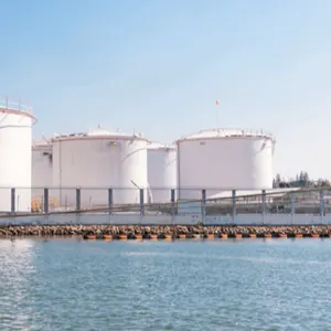 Shipping Agency - Image 3